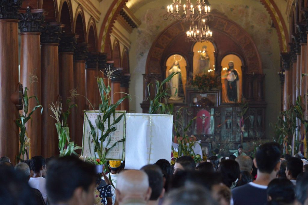 14125115 1183833098324422 8532372672367778444 o