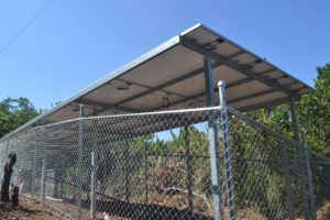 79483753 448813179384809 7415653330266882048 n