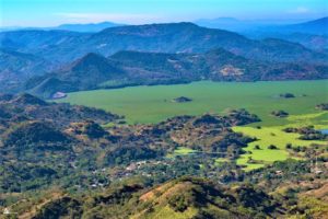 83004565 732447940617337 2923990903070654464 o