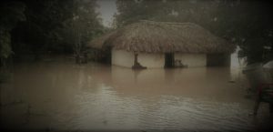 WhatsApp Image 2017 08 23 at 8.44.43 AM 1