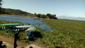 inCollage 20200105 204730189