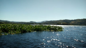 inCollage 20200105 205338205