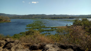 inCollage 20200105 205550272