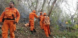 54233854 1764635326970823 9007088216951488512 o