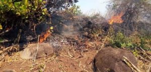 90584545 832308667238274 1861123042910928896 n