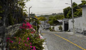 91902278 1101366933556041 2990392931417849856 o