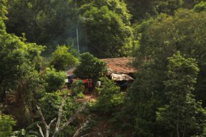 119057077 256545655404979 8529831104327889614 n