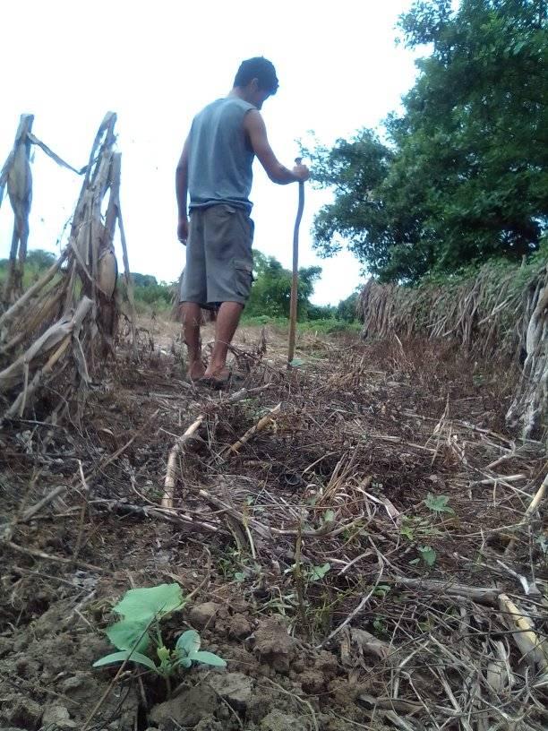 123808308 421094232387410 1075369772205559297 n