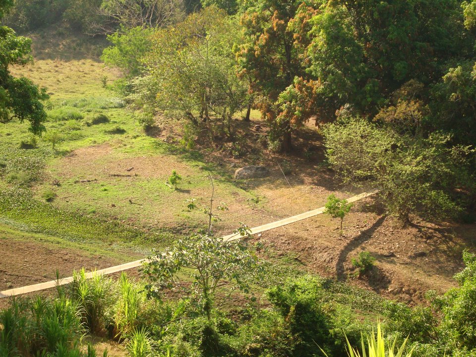 532264 328924847169548 677703131 n