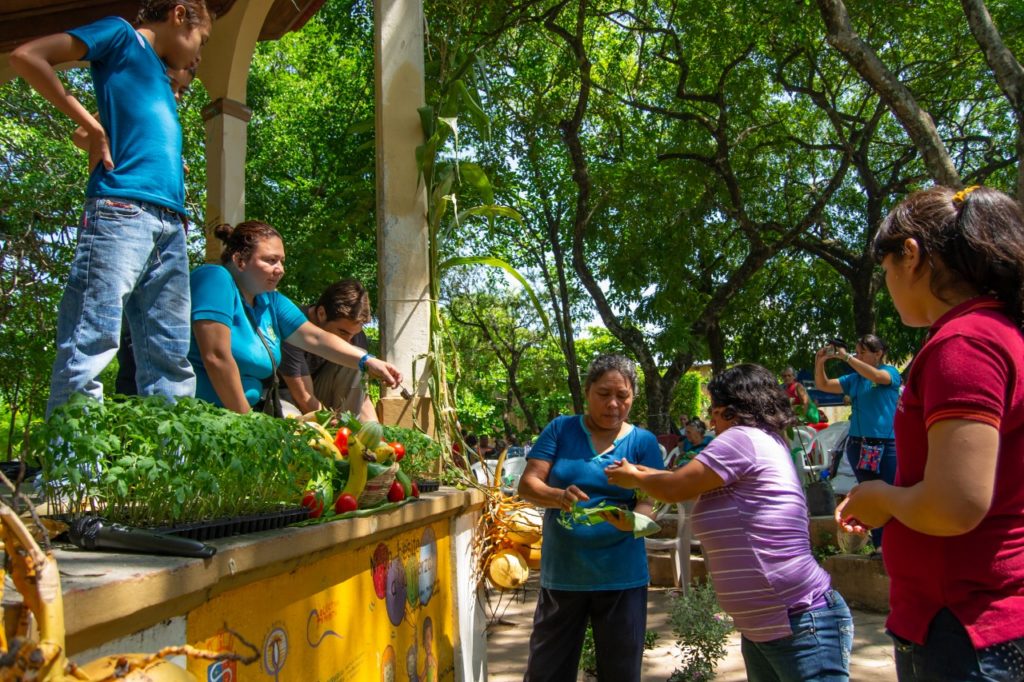 Ana Maria entrega de plantines