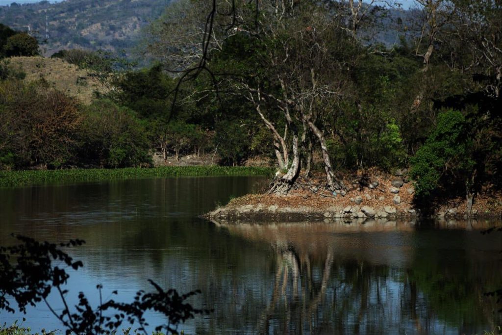 165239065 795388537745990 155253981760644017 n