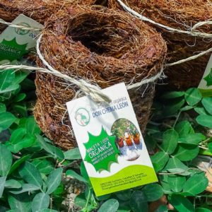 171864471 116929630496142 7941205893861851306 n