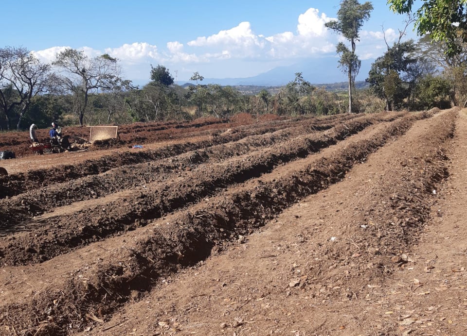 173429929 1186555068450671 2381237280856656840 n