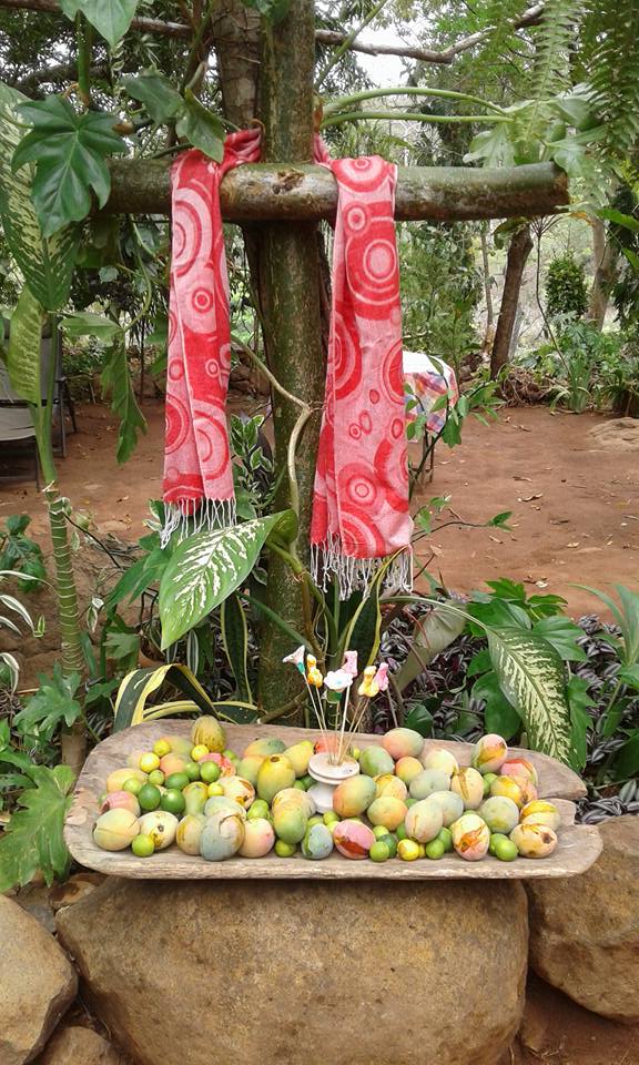 18198610 1478195365553555 4818832730371212023 n