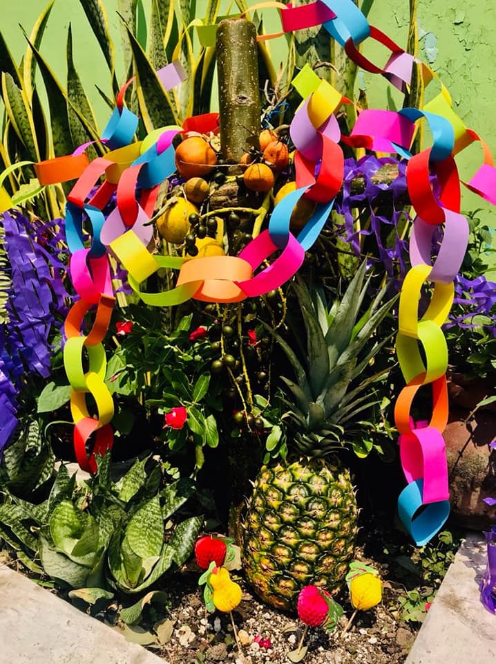 95252940 3109998995706509 8862265501733093376 n