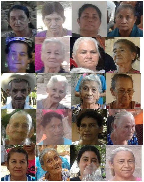 184308257 1114862625648916 4078486827864869881 n