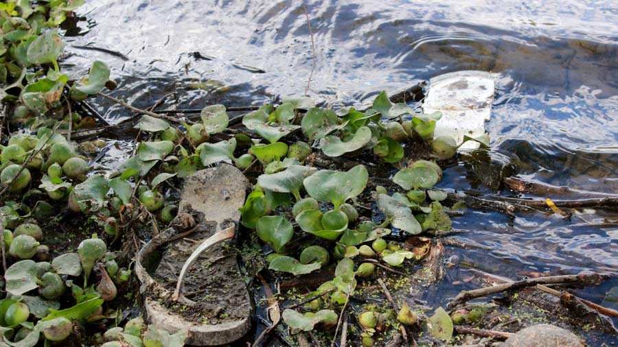 Sobre el río Lempa… ¿Qué hacer?