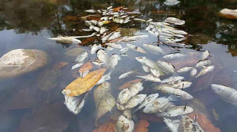 Sobre el río Lempa… ¿Qué hacer?