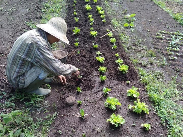 209428698 10225510417575679 7339322910795665214 n edited