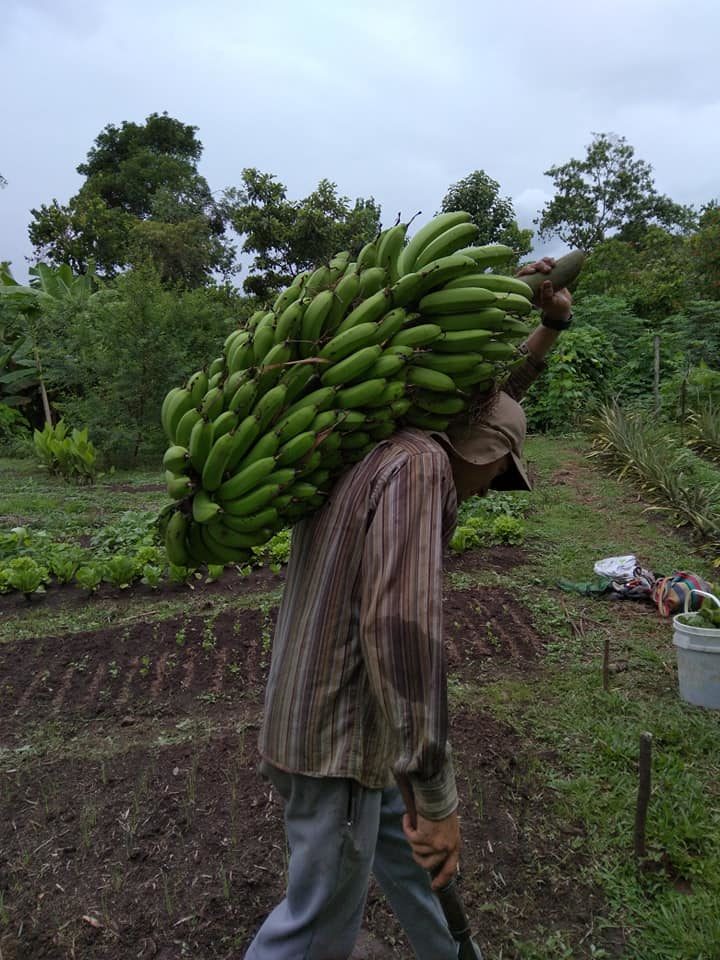 217699853 10225592350663955 7479957202388109242 n