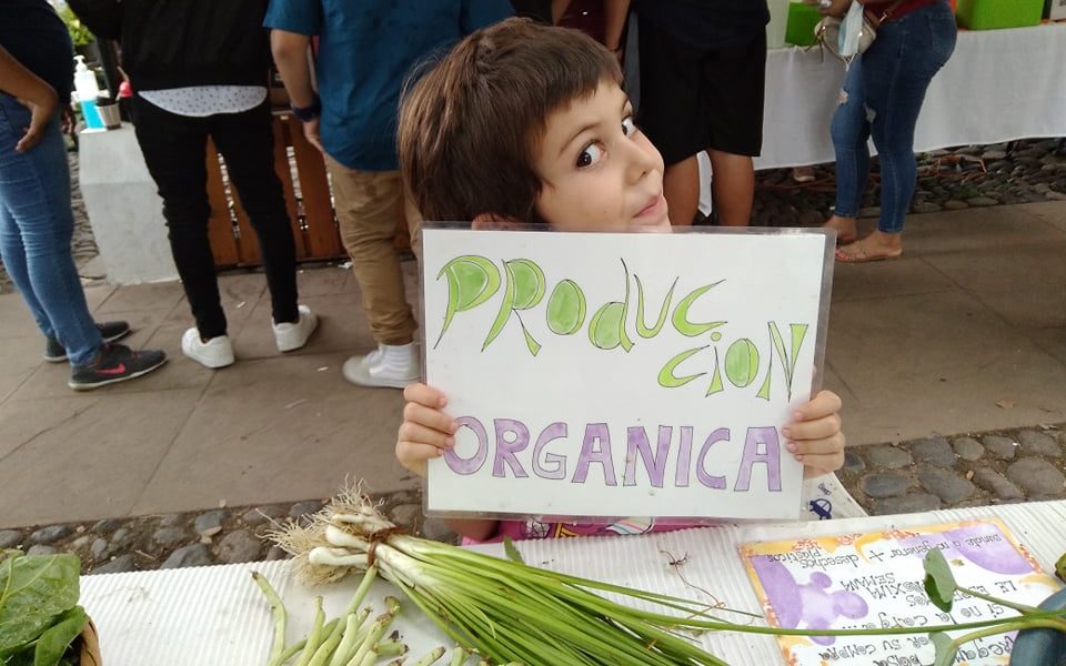 257968678 4367180570017264 5020799897013955926 n edited