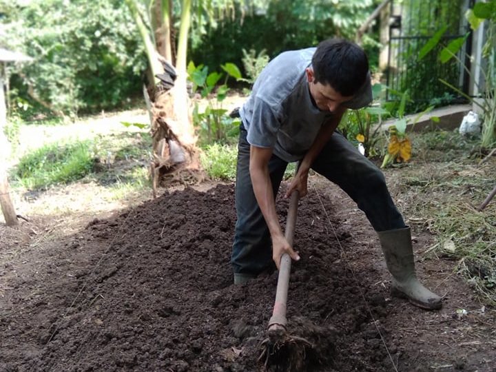 259091406 271797414910169 1755033791041466247 n edited