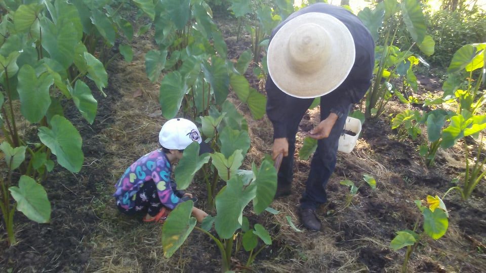 259238523 1761313270724232 4369758078368432925 n