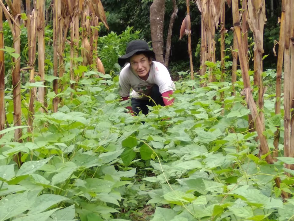 259450438 1018511455364267 6404727658385979220 n