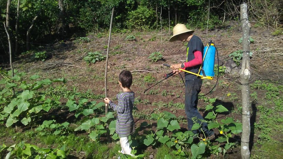 260156403 3090920544488380 7312934241469306310 n