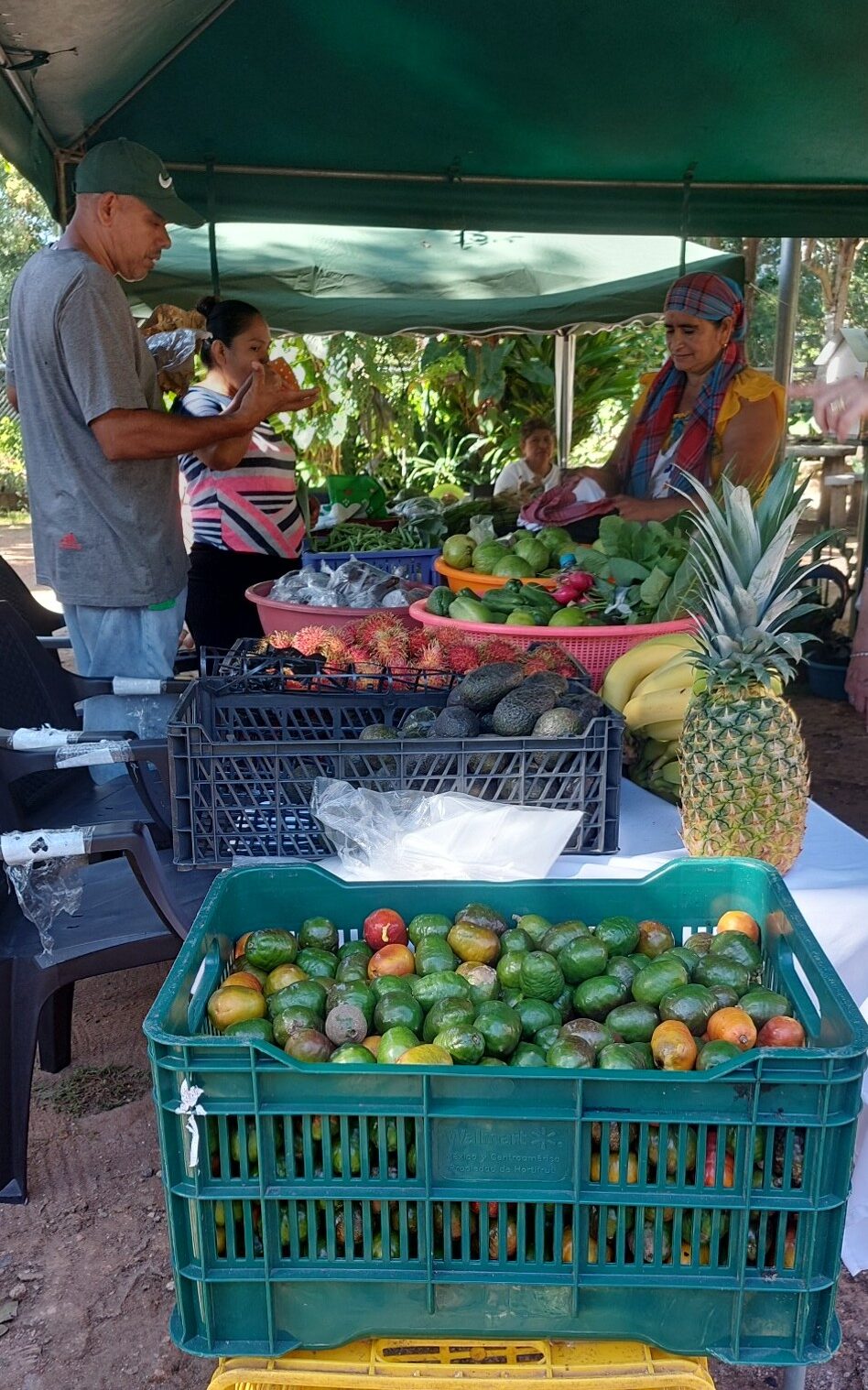 306357289 2000762446776345 3590475689531519259 n edited