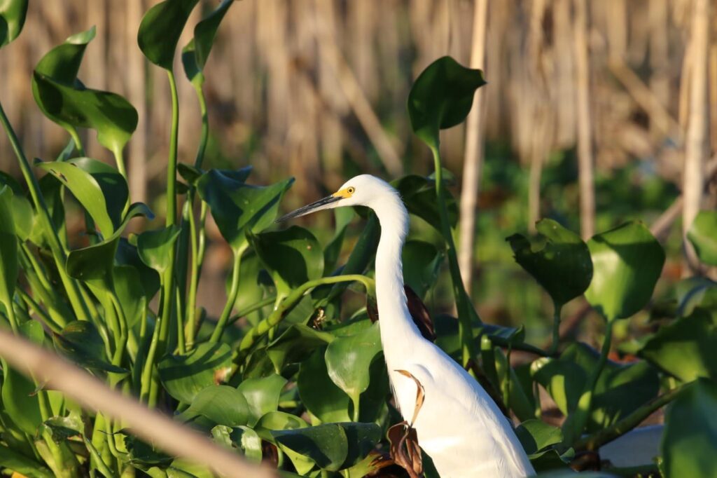 337875699 732779475068807 2755406982671357007 n