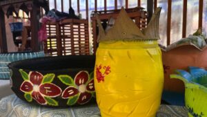 Dilcia Clavel arte 3