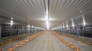 7c64de 639a95185b5e4dd48beff9633ad97d88mv2