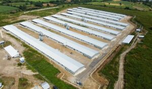 granja cmi 2 9201173 20241127143319