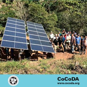 311056862 5756560891033796 1814901310876867094 n