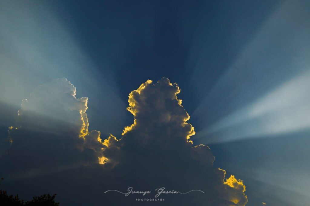 1182b105 b558 4009 b0a2 e72d41166c2d