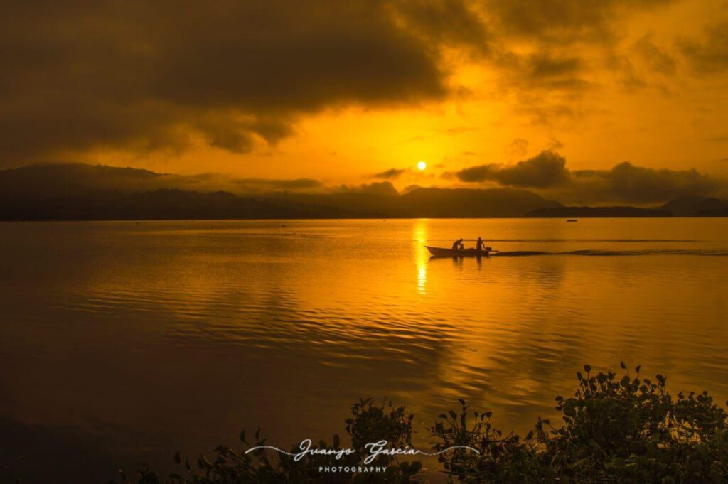 17171f29 4beb 4514 aa90 3d99952a91b5