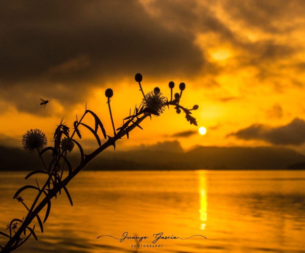 5345ad1b 61f3 4b92 a7cf 05fe015f1034