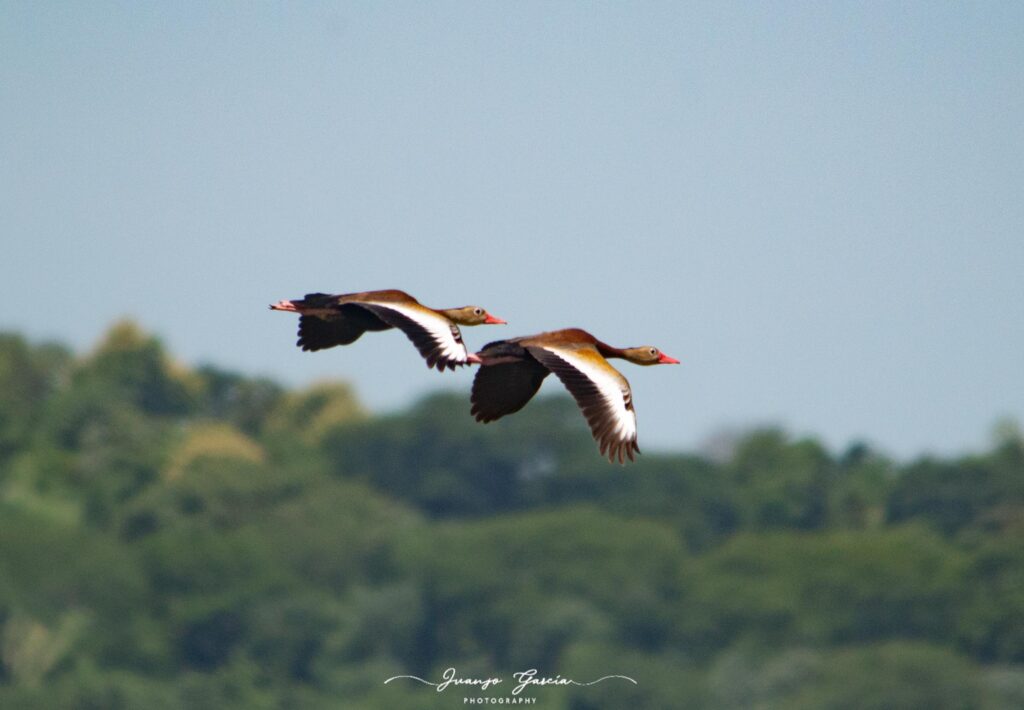 53f5488b 97bc 4c5d ad2c 0f0c95440ae0