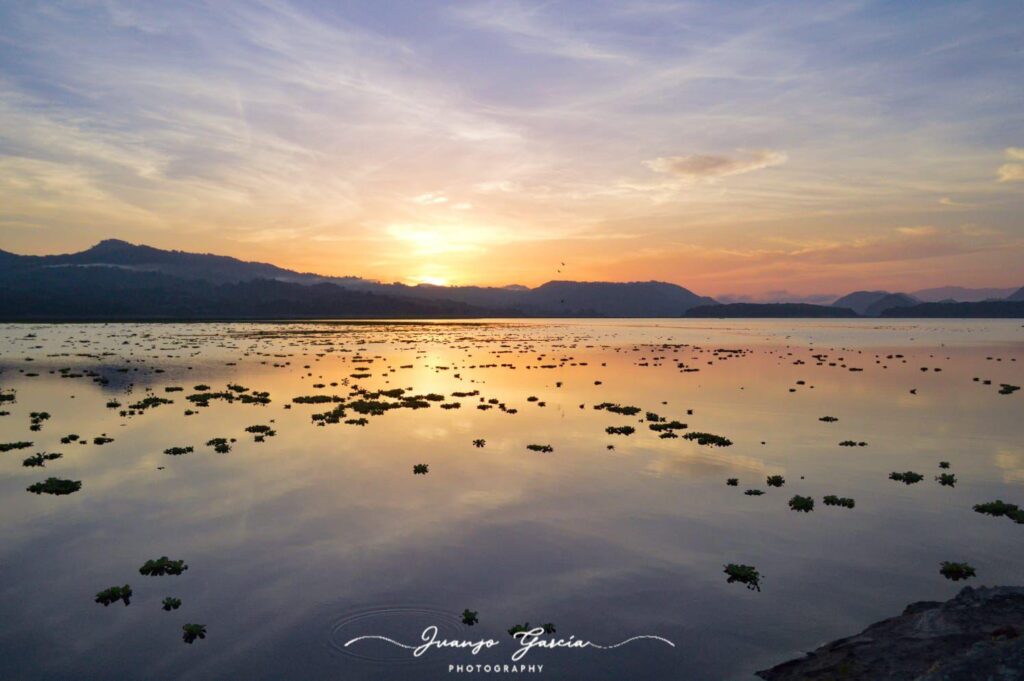 dff3ab54 6ca1 49b2 9626 9e78af4e3aa8