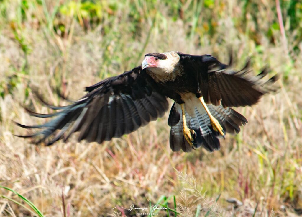 e95cfb28 929e 46c5 928e 3d42d7875305