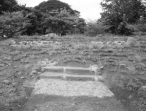 Simp26 30 Moran y Chavez6 339x260 1