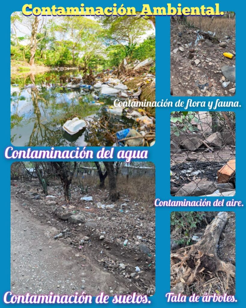 22637e55 3a50 4cb5 809b 6ae9ab162da4