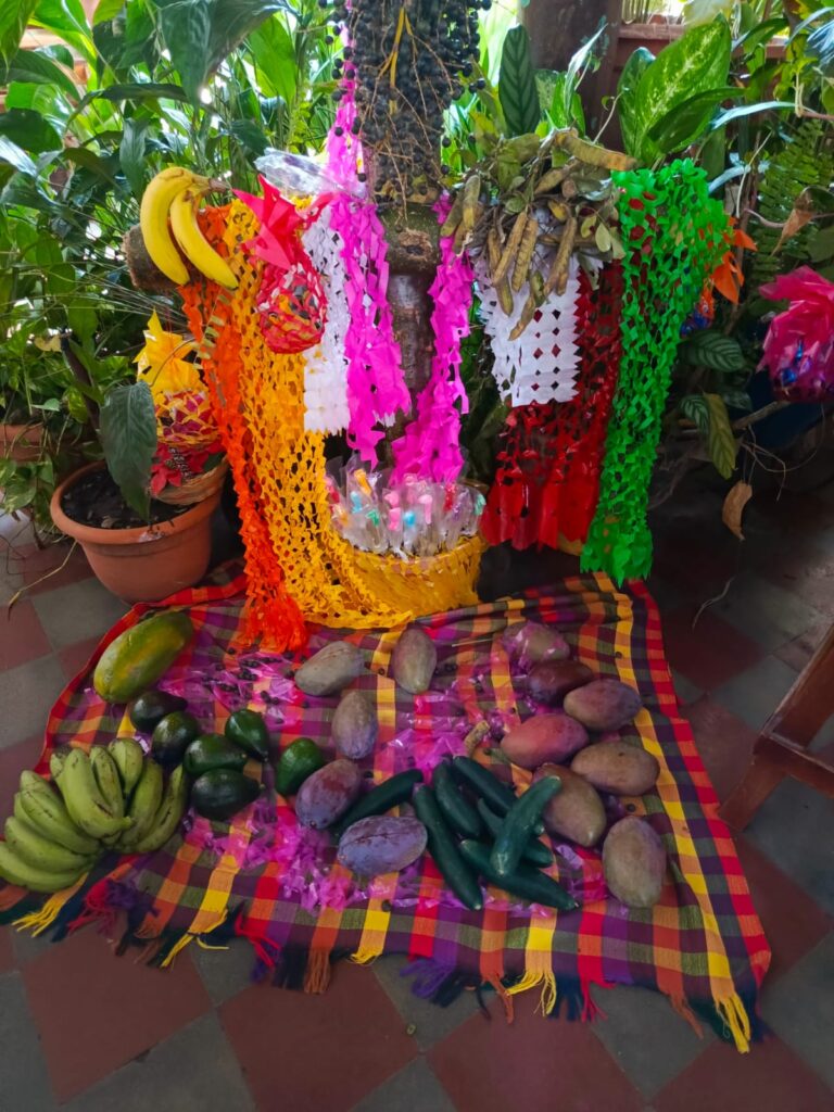 30340041 73db 45b0 88fa eee7fae41e40