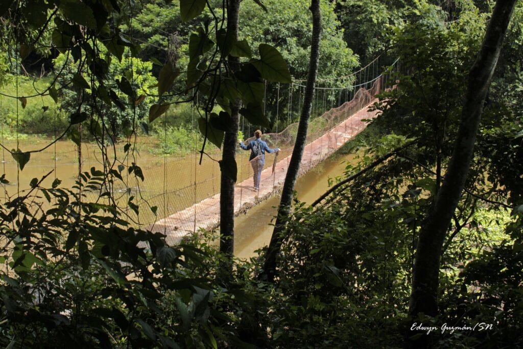 453899766 2791258194384403 8140942532629160258 n