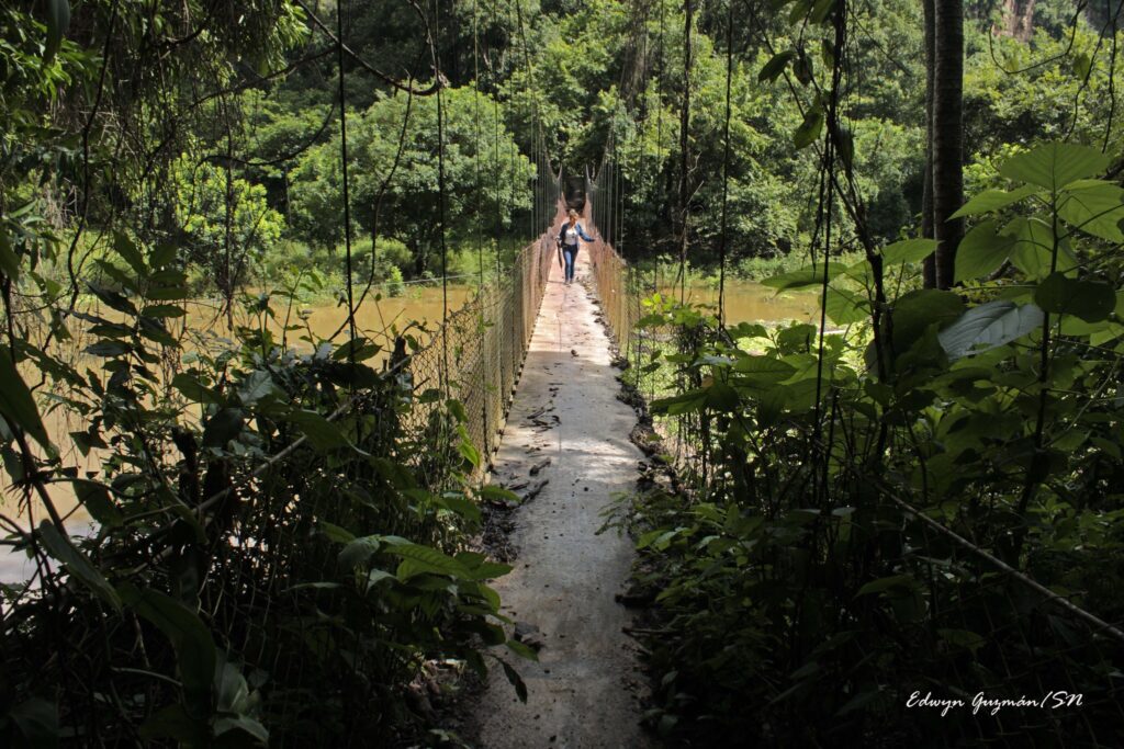 453907767 2792088544301368 7792402356760754636 n