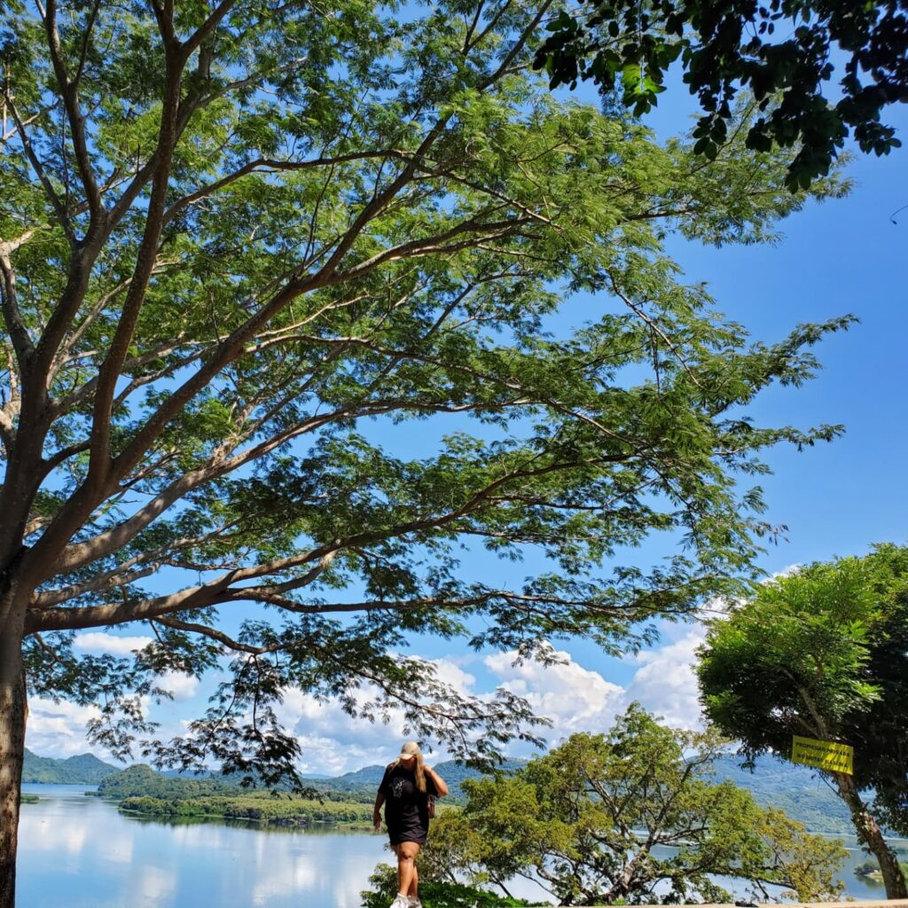 476787040 9432166880161609 876168590494650376 n