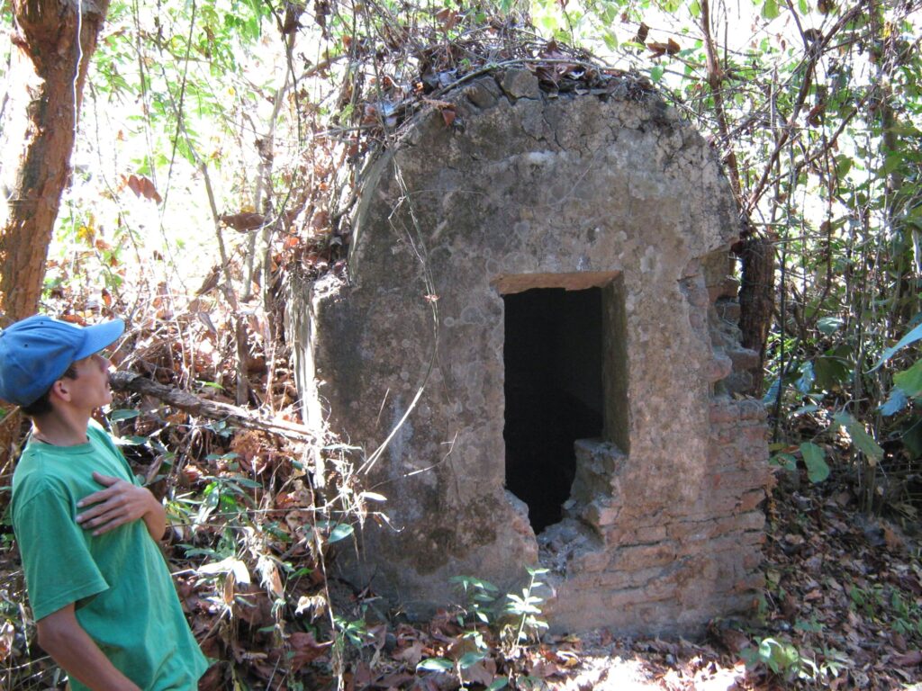 476918001 3919207945014002 7595473354996843061 n