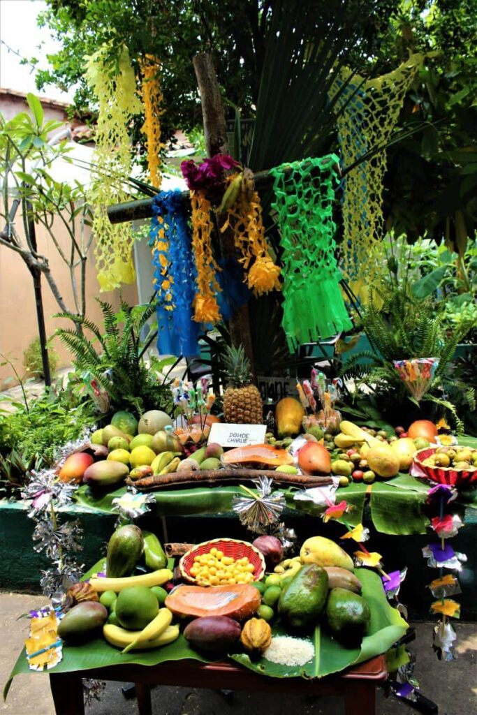 484427194 1281735410143750 4005614528938171601 n