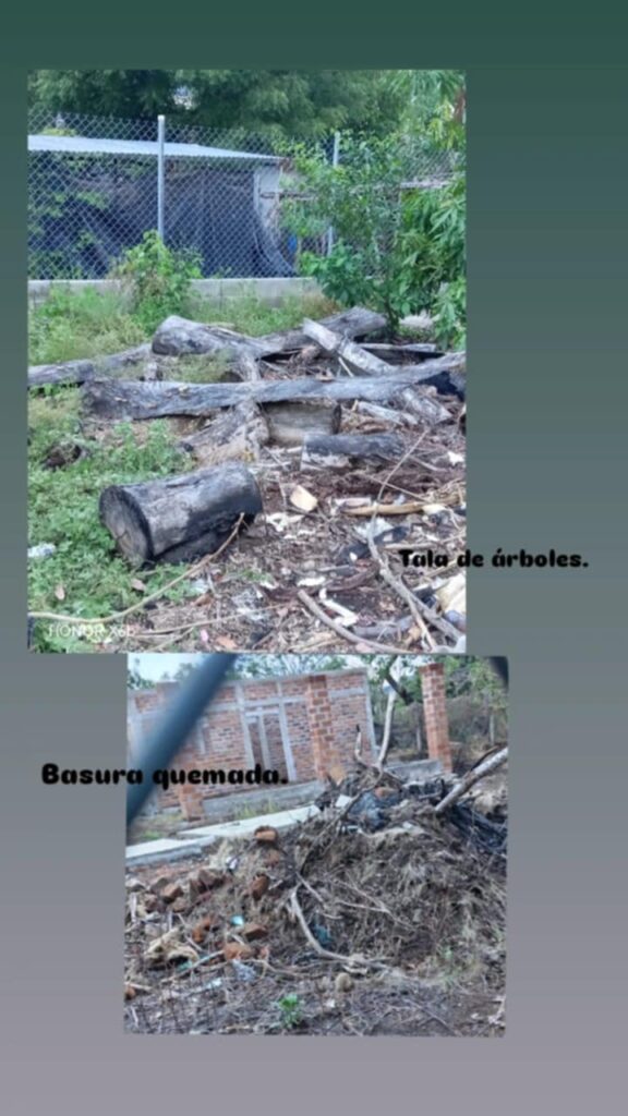 58509bc9 b123 4317 a251 5e57cf2c6d66